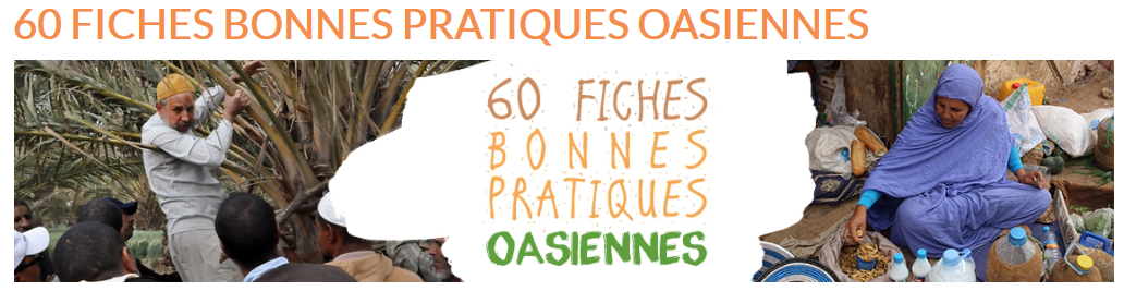 Good practises on Adaptive oasis management are published now!